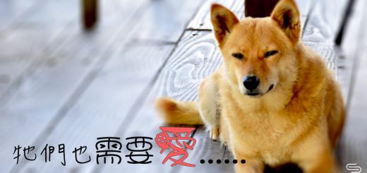 愛在最前線 - 1