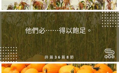 Soooradio每日靜．聽．想（496） - 釋放後　展翅凌雲 2021-08-09