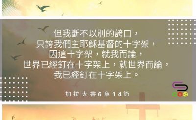 Soooradio每日靜．聽．想（516） - 純真的琴音 2021-08-29