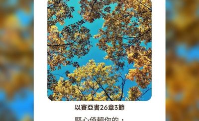 Soooradio每日靜．聽．想（542） - 鳥巢的啓示 2021-09-24
