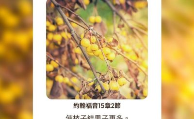 Soooradio每日靜．聽．想（545） - 沙漠和溫室的花 2021-09-27