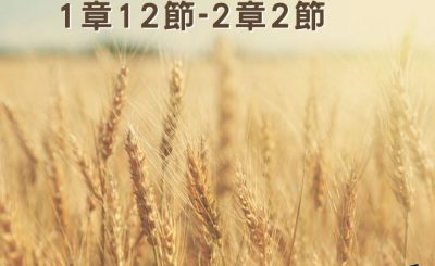Soooradio穿越聖經（358） - 〈路得記〉1章12節-2章2節
