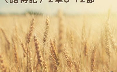 Soooradio穿越聖經（359） - 〈路得記〉2章3-12節