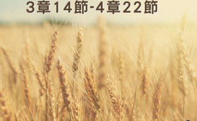 Soooradio穿越聖經（362） - 〈路得記〉3章14節-4章22節