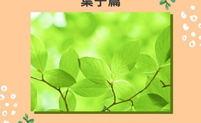 soooradio失落完II（01）-李灝麟博士 — 葉子篇