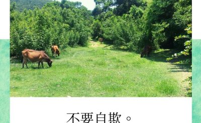 Soooradio每日靜．聽．想（552） - 蝴蝶是僞裝的毛蟲 2021-10-04