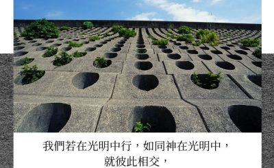 Soooradio每日靜．聽．想（559） - 蜘蛛網的啓示 2021-10-11