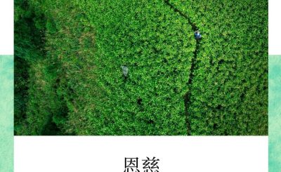 Soooradio每日靜．聽．想（575） - 有香氣的花瓶 2021-10-27
