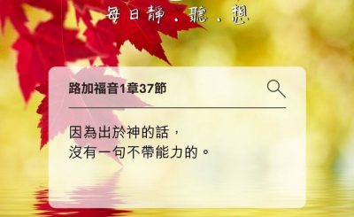 Soooradio每日靜．聽．想（590） - 冰雪長出的小花 2021-11-11