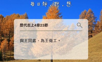 Soooradio每日靜．聽．想（593） - 腐木旁的野花 2021-11-14