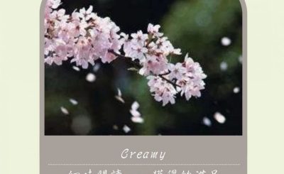 soooradio平凡就是幸福（03）-Read read read