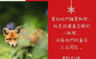 Soooradio每日靜．聽．想（622） - 不止息的警醒 2021-12-13