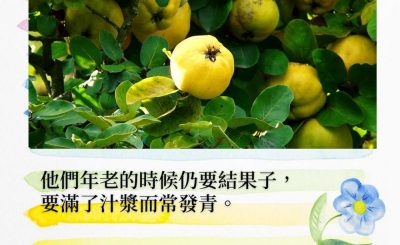 Soooradio 基督教廣播電台 每日 靜．聽．想 2022（010） - 詩篇92篇14節