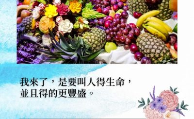 Soooradio 基督教廣播電台 每日 靜．聽．想 2022（020） - 約翰福音10章10節