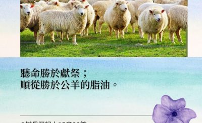 Soooradio 基督教廣播電台 每日 靜．聽．想 2022（029） - 撒母耳記上15章22節