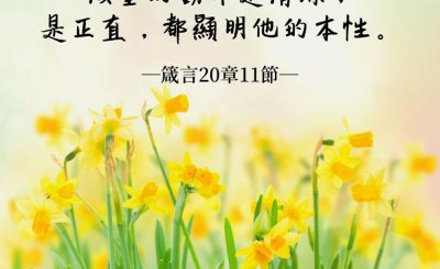 Soooradio 基督教廣播電台 每日 靜．聽．想 2022（047） - 箴言20章11節