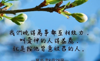 Soooradio 基督教廣播電台 每日 靜．聽．想 2022（049） - 羅馬書8章28節