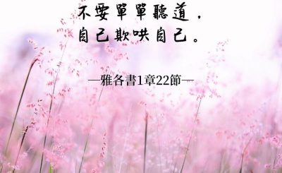 Soooradio 基督教廣播電台 每日 靜．聽．想 2022（050） - 雅各書1章22節