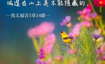 Soooradio 基督教廣播電台 每日 靜．聽．想 2022（051） - 馬太福音5章14節