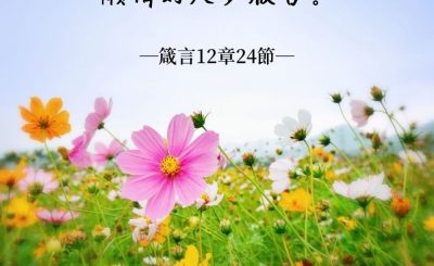 Soooradio 基督教廣播電台 每日 靜．聽．想 2022（052） - 箴言12章24節