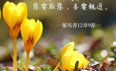 Soooradio 基督教廣播電台 每日 靜．聽．想 2022（054） - 羅馬書12章9節