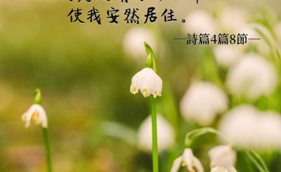 Soooradio 基督教廣播電台 每日 靜．聽．想 2022（057） - 詩篇4篇8節