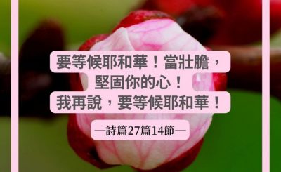 Soooradio 基督教廣播電台 每日 靜．聽．想 2022（070） - 詩篇27篇14節