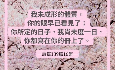 Soooradio 基督教廣播電台 每日 靜．聽．想 2022（085） - 詩篇139篇16節