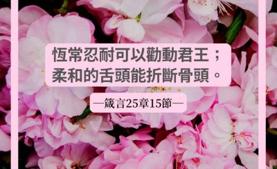Soooradio 基督教廣播電台 每日 靜．聽．想 2022（090） - 箴言25章15節