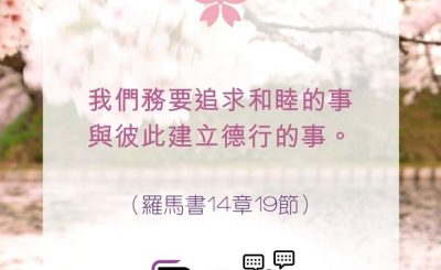 Soooradio 基督教廣播電台 每日 靜．聽．想 2022（114） - 羅馬書14章19節