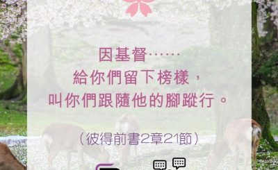 Soooradio 基督教廣播電台 每日 靜．聽．想 2022（117） - 彼得前書2章21節