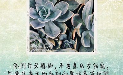 Soooradio 基督教廣播電台 每日 靜．聽．想 2022（125） - 以弗所書6章4節
