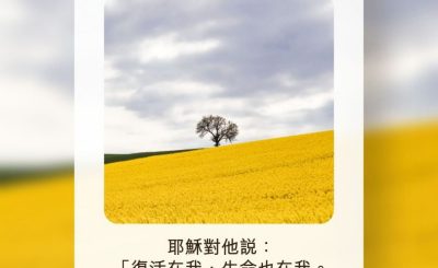 Soooradio 基督教廣播電台 每日 靜．聽．想 2022（194） - 約翰福音11章25節