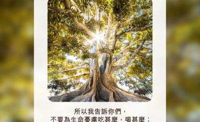 Soooradio 基督教廣播電台 每日 靜．聽．想 2022（205） - 馬太福音6章25節