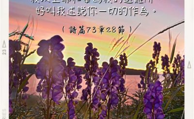 Soooradio 基督教廣播電台 每日 靜．聽．想 2022（249） - 詩篇73章28節