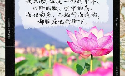 Soooradio 基督教廣播電台 每日 靜．聽．想 2022（300） - 詩篇8篇6-8節