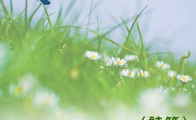 Soooradio 基督教廣播電台 穿越聖經（654） - 〈詩篇〉38篇9節-39篇7節