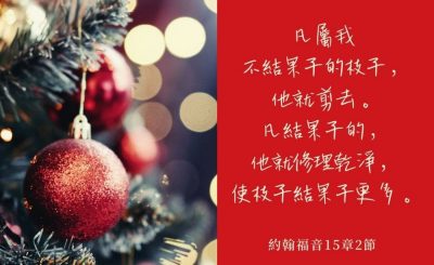 Soooradio 基督教廣播電台 每日 靜．聽．想 2022（347） - 約翰福音15章2節