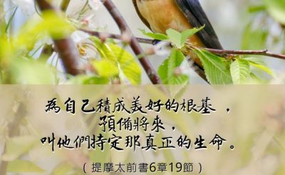 Soooradio 基督教廣播電台 每日 靜．聽．想 2023（004） - 提摩太前書6章19節