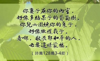 Soooradio 基督教廣播電台 每日 靜．聽．想 2023（007） - 詩篇128篇3-4節