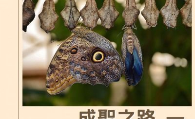 Soooradio 基督教廣播電台 逆境中憑信前行IV（10）-成聖之路 — 生命的蛻變與成長