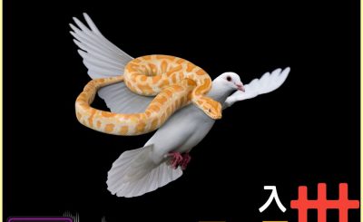 Soooradio 基督教廣播電台 信仰不像你預期III（02）-入世而不屬世