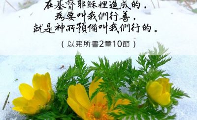 Soooradio 基督教廣播電台 每日 靜．聽．想 2023（012） - 以弗所書2章10節