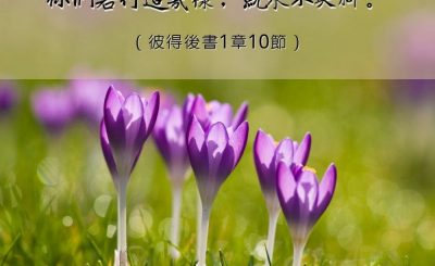 Soooradio 基督教廣播電台 每日 靜．聽．想 2023（017） - 彼得後書1章10節