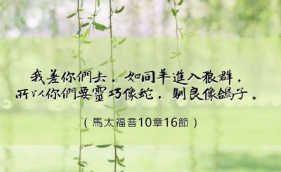 Soooradio 基督教廣播電台 每日 靜．聽．想 2023（018） - 馬太福音10章16節