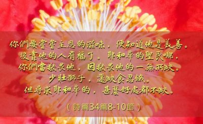 Soooradio 基督教廣播電台 每日 靜．聽．想 2023（023） - 詩篇34篇8-10節