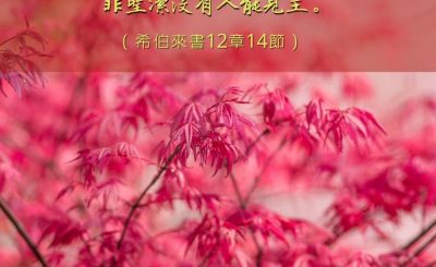 Soooradio 基督教廣播電台 每日 靜．聽．想 2023（024） - 希伯來書12章14節