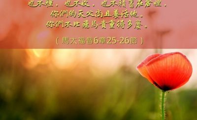 Soooradio 基督教廣播電台 每日 靜．聽．想 2023（026） - 馬太福音6章25-26節