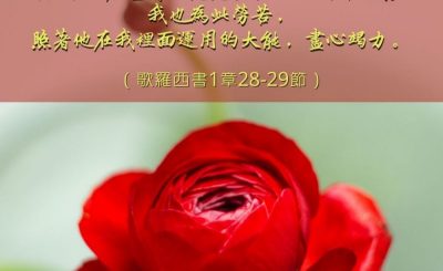 Soooradio 基督教廣播電台 每日 靜．聽．想 2023（028） - 歌羅西書1章28-29節