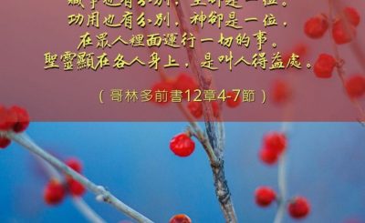 Soooradio 基督教廣播電台 每日 靜．聽．想 2023（030） - 哥林多前書12章4-7節